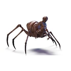 3D Spider RIGGED